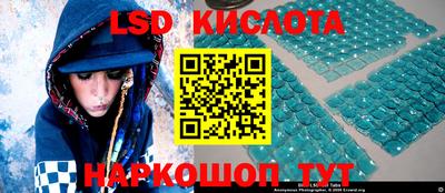 стаф Кандалакша