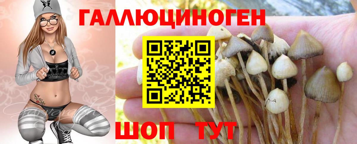 закладки  Галлюциногенные грибы прущие грибы  Вход с VPN  Оренбург 