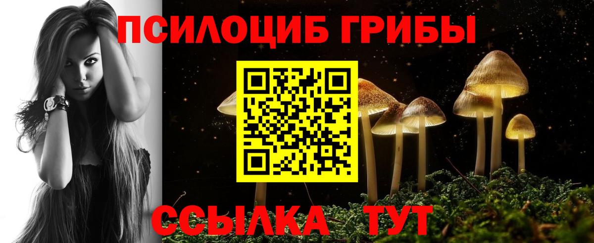 Псилоцибиновые грибы MAGIC MUSHROOMS Оренбург